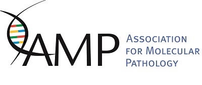 AMP Small Logo