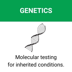 Access genetics resources. Educational resources on molecular testing for inherited conditions.