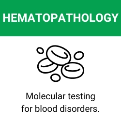 Access hematopathology resources. Educational resources on molecular testing for blood disorders.